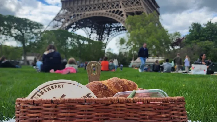 picnic.webp
